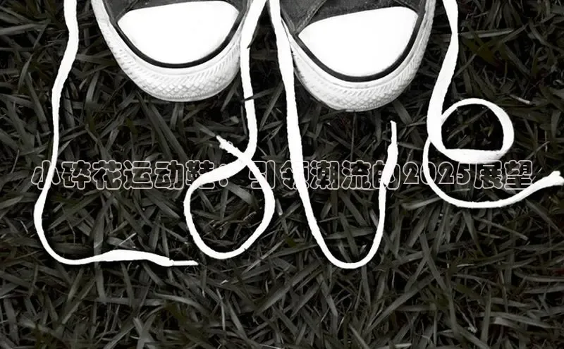 必一·体育